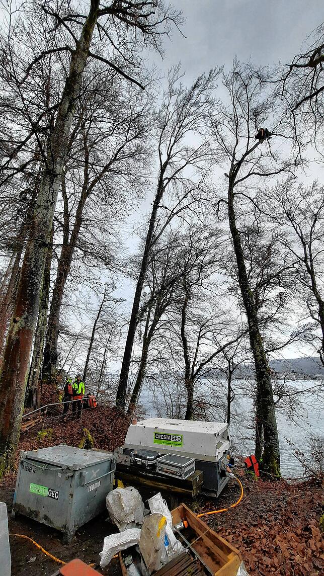 Rechts oben hängt Nadine Zimmer für Baumschnittarbeiten in einem Baum. Totholz-Äste müssen weg.