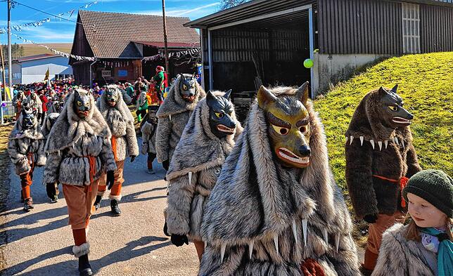 Bild 18: Alle Bilder vom Fastnachtsumzug 2025 in Blumberg-Nordhalden