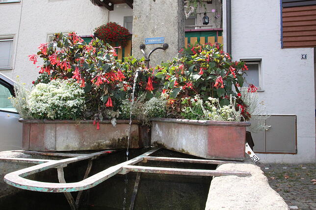 Auch in der Fahrgasse bietet ein Brunnen durstigen Passanten Trinkwasser an.