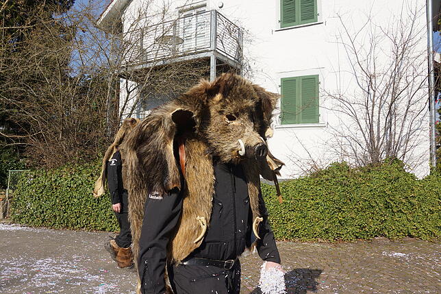 Bild 23: Küssaberger Narrentreffen 2025: Rheinheim feiert Fasnacht