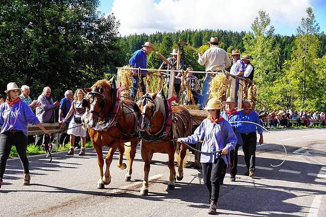 Beim Rossfest in St. Märgen kommen Pferde-Fans am Wochenende 12. bis 14. September auf ihre Kosten.