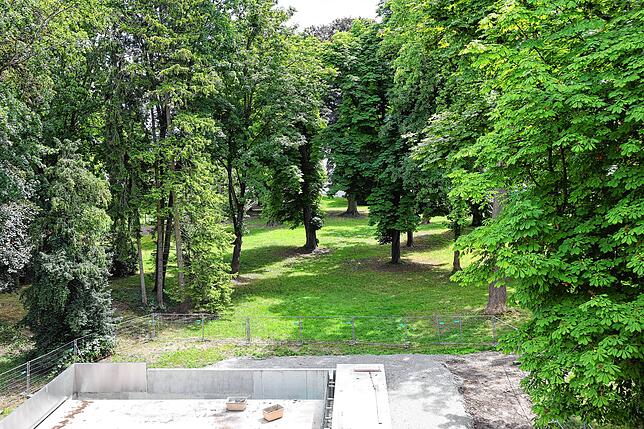 Vorn ist ein Stück des Außenpools erkennbar, hinten die hohen Bäume des Parks. „Wo sehen Sie hier den See?“, erzürnt sich ...