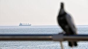 Auf dem Meer ist einiges los: unzählige Schiffe fahren tagtäglich über die Ozeane. Das größte Schlachtschiff der Welt ist aber größer.