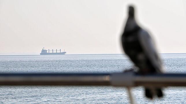 Auf dem Meer ist einiges los: unzählige Schiffe fahren tagtäglich über die Ozeane. Das größte Schlachtschiff der Welt ist aber größer.