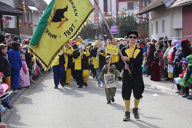 Bild 16: Bilder zum Narrentreffen in Schwerzen (1)