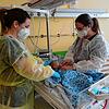 Anja Wernet, Gesundheits- und Kinderkrankenpflegerin und Assistenzärztin Simone Köhler (rechts) untersuchen ein zwei Wochen altes Baby, ...