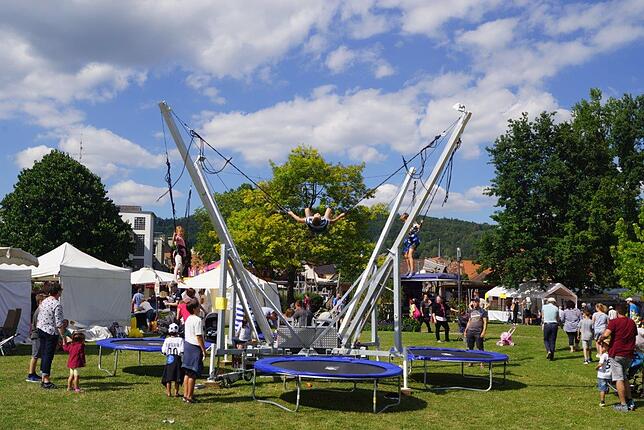 Bild 13: Bilder vom 38. Hafenfest in Ludwigshafen