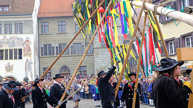 Um 16.16 Uhr stand am Schmotzigen Dunnschtig der zweite Überlinger Narrenbaum.