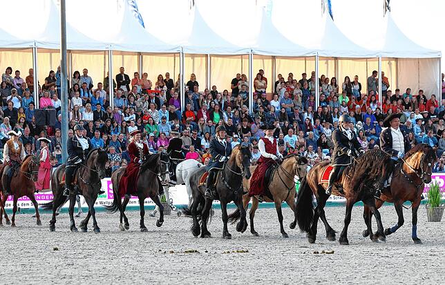Bild 3: Zwischen Adrenalin und Tradition: Der spektakuläre Showabend beim Fest der Pferde auf den Immenhöfen