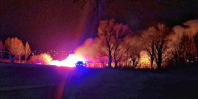 (Archivbild) 31 Feuerwehrleute waren im Einsatz, um die Flammen am Ufer des Gnadensees zu löschen.