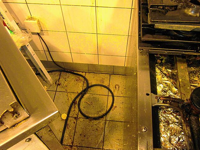 Aus dem Archiv des Veterinäramtes: Nach dem verschieben der Saladette wird deutlich: Die Reinigung des Fußbodens lässt zu wünschen übrig.