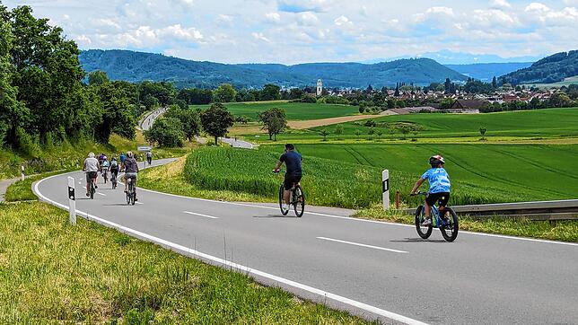 Auf dem Weg nach Gottmadingen bot sich bestes Alpenpanorama.