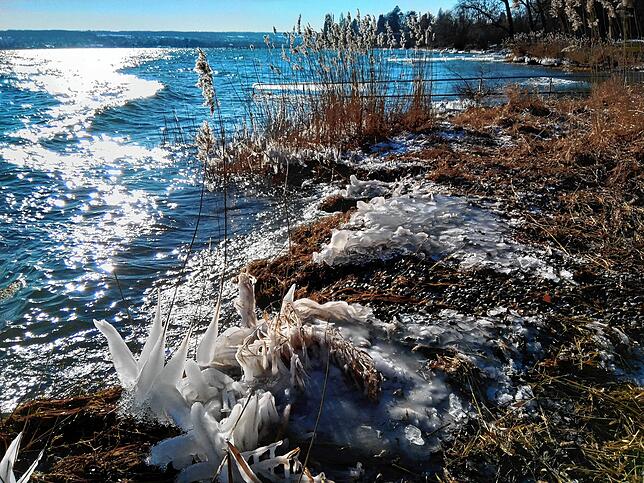 Bild 17: Das Eis ist da! Zahlreiche Kufen-Freunde waren am Sonntag zwischen Hegne und der Reichenau unterwegs. Die Kälte sorgte außerdem für tolle Eisskulpturen