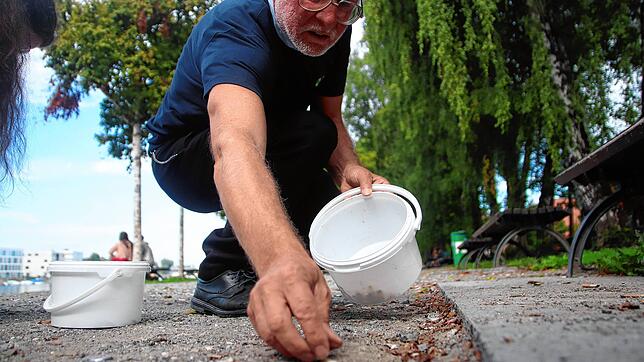 Karl-Ulrich Schaible sammelt, gemeinsam mit Evelyn Spillmann und Janis Baur, regelmäßig im Herosé-Park und an anderen Müll-Hotspots den ...