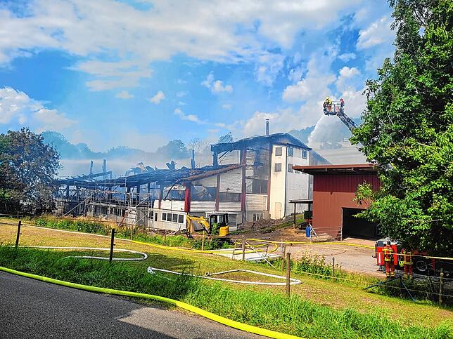 Bild 7: Bilder vom Großbrand der Produktionshalle in Mauchen