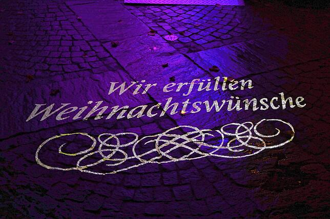 Bild 1: Insel Mainau: Bilder vom Start des Christmas Garden 2023 - Teil 1