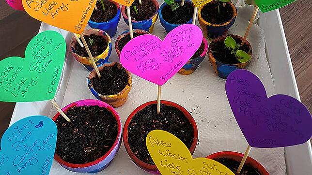 Töpfe mit Kresse und Sonnenblumenkernen von Janine Behrendt und ihrer Tochter für die Senioren der Wohngemeinschaft der Sozialstation. ...