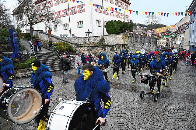 Bild 14: Die schönsten Bilder vom Narrenumzug in Tiengen &ndash; Teil 1