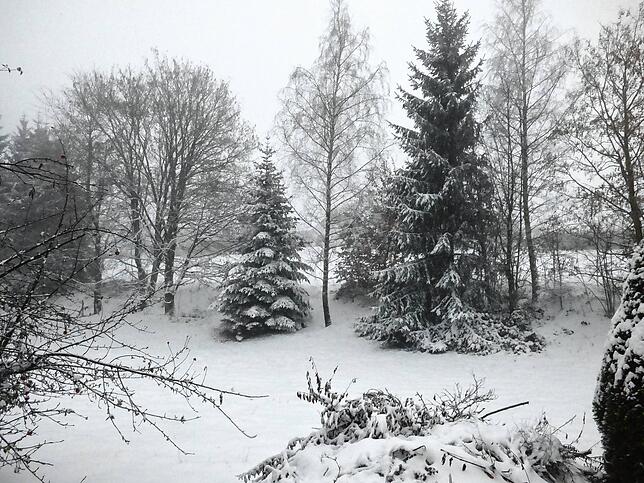 Der Schnee zaubert eine Winterlandschaft nach Bergalingen.