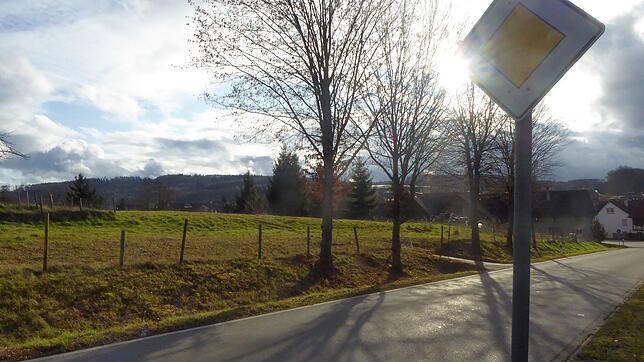 Am Ortsausgang von Mühlhofen in Richtung Grasbeuren soll ein rund ein Hektar großes neues Wohngebiet entstehen. Der Gemeinderat ...