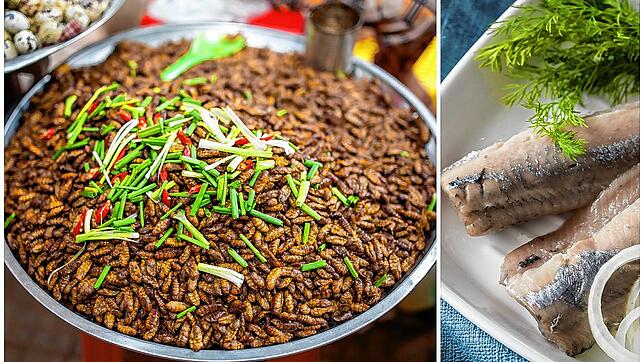 Ob Basler Mehlsuppe, fermentierter Haifisch oder frittierte Vogelspinnen: Einige Delikatessen der internationalen Küche sind ...