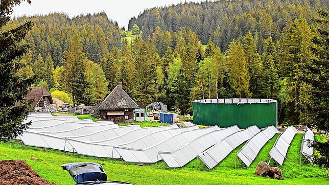 Der Bebauungsplan Hölltal zur Sicherung der solarthermischen Anlagen tritt mit der Offenlage in die entscheidende Phase. Bild: ...