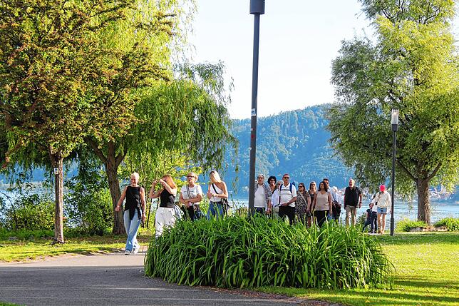 Bild 3: Erste Weinwiese in Ludwigshafen