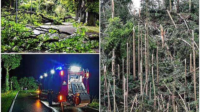 Umgeknickte Bäume, soweit das Auge reicht: Ein Unwetter hat die Feuerwehr in der Nacht auf Mittwoch, 12. Juli, beschäftigt.