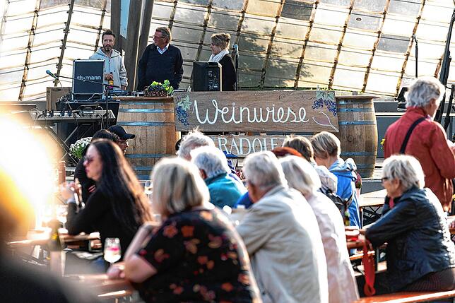 Bild 6: Ausgelassene Stimmung beim Radolfzeller Weinfest "Weinwiese" am Konzertsegel