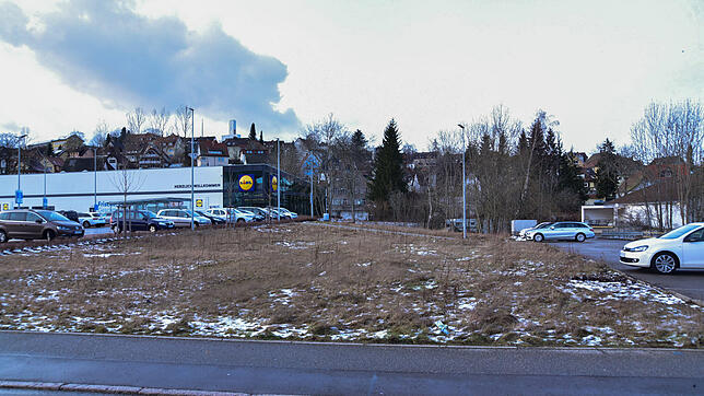 Auf diesem Gelände, das genau zwischen dem Lidl und Rewe in der Industriestraße liegt, wollte sich ein Drogeriemarkt der Kette dm ...