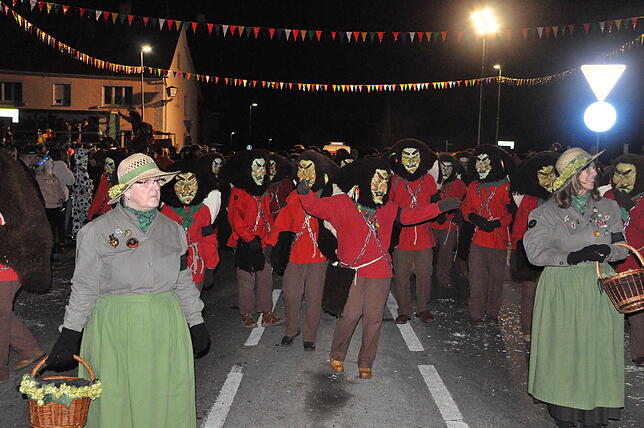Bild 26: Bilder vom 16. Nachtumzug des Narrenverein Moschtobst in Ahausen