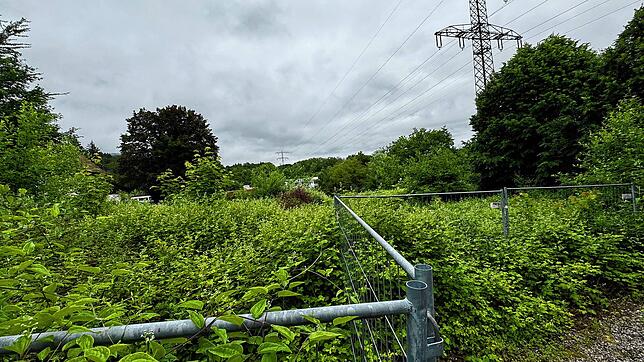 Auch fünf Jahre nach der Vermarktung von 19 Wohnungen an der Bergseestraße ist das Anwesen noch immer eine Brache. Die ...