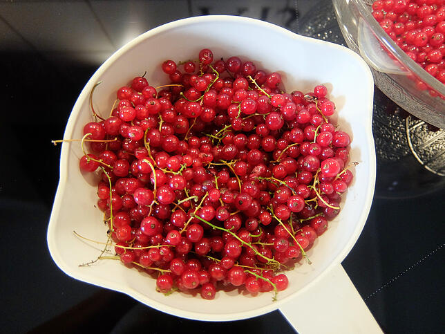 Bild 1: Sommer-Rezept zum Nachbacken: Johannisbeer-Schmandkuchen