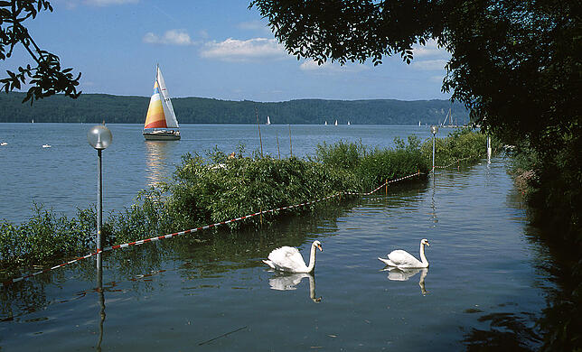 Bild 15: Pfingsthochwasser 1999: Das Jahrhundertereignis in Bildern