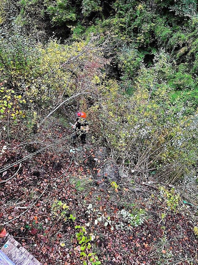 Rückschnitt der Gehölze für die neue Steganlage durch die Marienschlucht. Die Arbeiten erfolgen am Seil gesichert durch die Firma ...