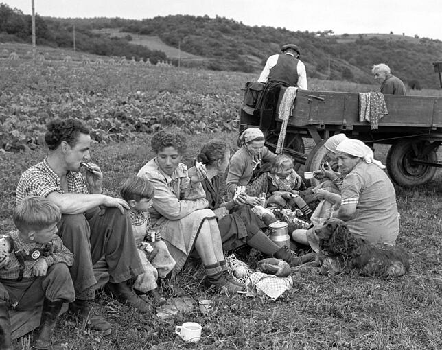 Eine Bauernfamilie macht mit den Helferinnen eine Vesperpause auf dem Feld.
