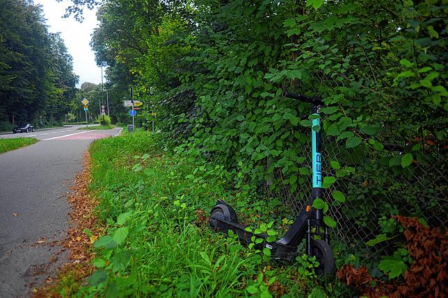 Immerhin: Den Radweg blockiert dieser E-Scooter – rechts im Gebüsch gerade noch so auszumachen – nicht. Und doch ist auch ...
