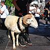 Bild :