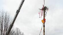 Die Leiterbachpiraten haben den Narrenbaum gestellt.
