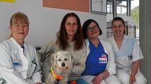 Sie freuen sich, dass „Idefix“ auf der Station D3 seinen Dienst als Therapiehund aufgenommen hat: (von links) Chefärztin Karin Schoser, ...