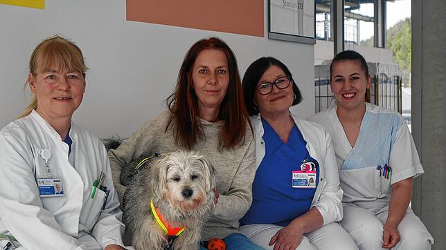 Sie freuen sich, dass „Idefix“ auf der Station D3 seinen Dienst als Therapiehund aufgenommen hat: (von links) Chefärztin Karin Schoser, ...