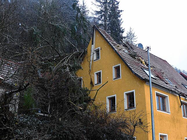 Im Februar vergangenen Jahres waren die Feuerwehrleute bei diesem Einsatz gefordert. Bei einem Sturm stürzte eine große Fichte im ...