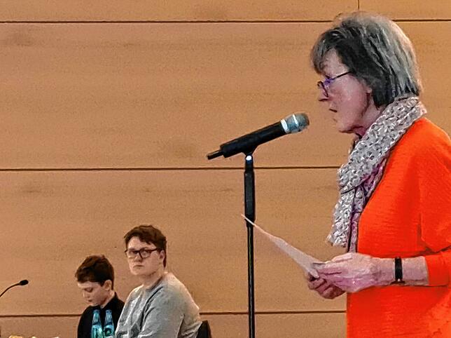 Brunhild Sprissler kritisiert im Februar im Gemeinderat die Sperrzeitenpläne der Stadt aus Sicht der Färberstraßenbewohner. Vergeblich.