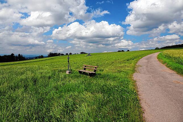 Blick auf das Hoheneck zwischen Oberwihl, Hottingen und Hogschür. Der Regionalverband Hochrhein-Bodensee hat das Gebiet als ...