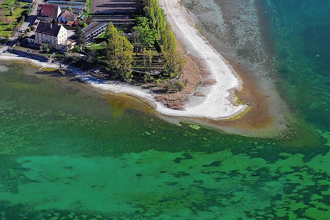 An der Spitze der Reichenau hat sich ein Kiesstrand gebildet.