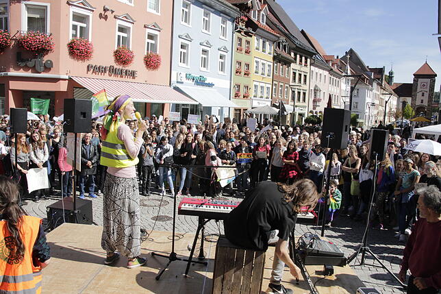 Bild 8: Bilder von der Fridays for Future-Demonstration in Villingen
