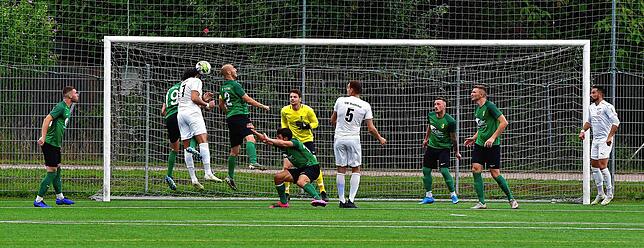 Bild 12: SV Herten besiegt den VfB Waldshut mit 3:0 &ndash; und wir haben die Bilder!
