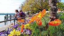 Blühendes Gewächs und Sonnenbadende am Überlinger Landungsplatz: In den vergangenen Tagen haben viele Menschen die warmen Temperaturen ...