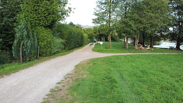 Sowohl für Einheimische als auch für Durchwanderer soll der Rheinuferweg in Schwörstadt attraktiver gestaltet werden. Für das Projekt ...