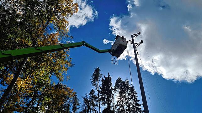 Sturmtief „Ignatz“ verursachte am Donnerstag mehrere Stromausfälle in der Region. 40 Mitarbeiter der ED Netze GmbH sowie ...